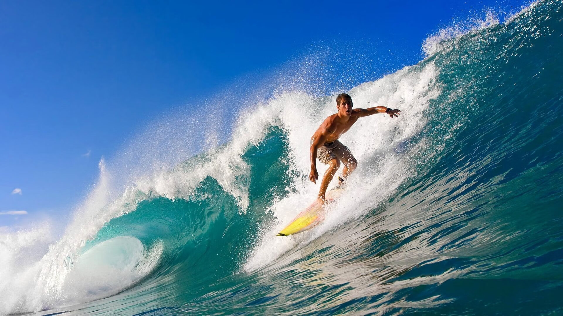 逆转战！激烈到让你大呼过瘾！，逆转 pan